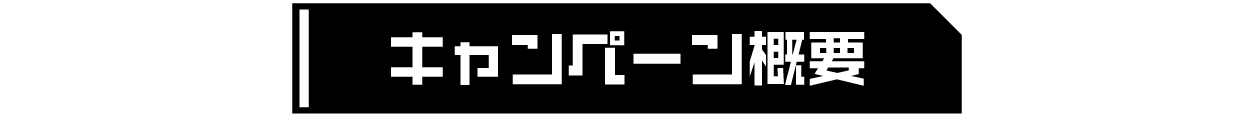 キャンペーン概要